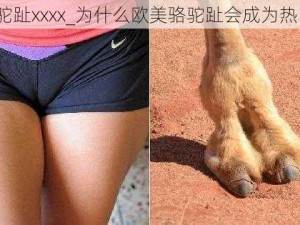 欧美骆驼趾xxxx_为什么欧美骆驼趾会成为热门话题？