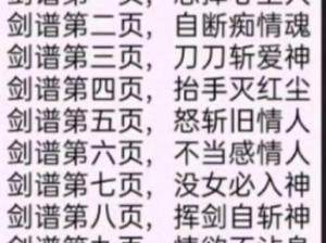 适合圣剑王者之剑的真正王者：谁才拥有真正的剑意与荣耀？