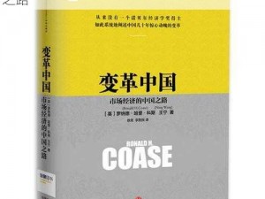 黑市改革新篇章：探索长生劫下的市场转型之路