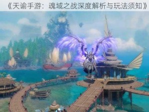 《天谕手游：魂域之战深度解析与玩法须知》