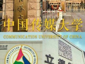 传媒大学沈娜娜面试_传媒大学沈娜娜面试：是潜规则还是公平竞争？