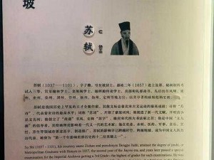 苏辙视角下的苏轼评价：卓越文人才华与独特人格魅力共融共生