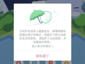 开启B站青少年模式：青少年网络安全护航，轻松开启守护成长之旅