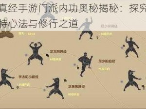 九阴真经手游门派内功奥秘揭秘：探究各流派独特心法与修行之道