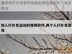 汇集多种打扑克软件视频和做运动软件，满足不同需求