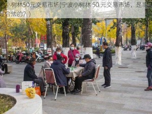 宁波小树林50元交易市场(宁波小树林 50 元交易市场，是非法的还是合法的？)