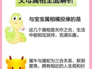 关于蛇之上蜂蜡获取位置的探索之旅——深入自然寻觅珍宝