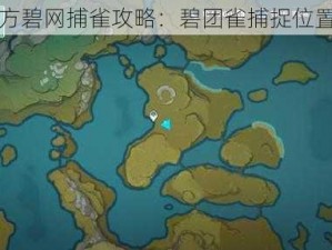 原神四方碧网捕雀攻略：碧团雀捕捉位置大揭秘