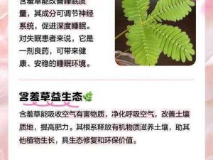 含羞草的作用的短文;含羞草有哪些作用？