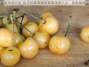 丝瓜秋葵草莓香蕉榴莲绿大全_丝瓜秋葵草莓香蕉榴莲绿大全：探索植物世界的多彩与奇妙