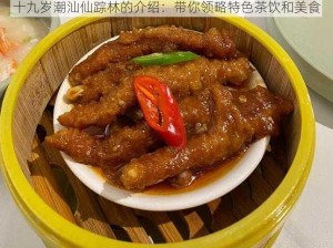 十九岁潮汕仙踪林的介绍：带你领略特色茶饮和美食