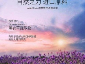 薰衣草实验室研究所2024直接入口【薰衣草实验室研究所 2024 直接入口，探索未知的神秘世界】