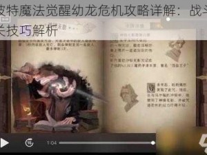 哈利波特魔法觉醒幼龙危机攻略详解：战斗策略与通关技巧解析