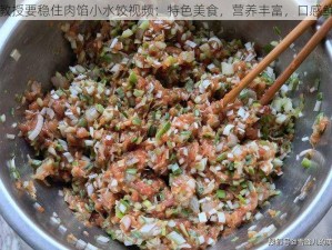 江教授要稳住肉馅小水饺视频：特色美食，营养丰富，口感鲜美