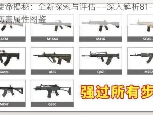 光荣使命揭秘：全新探索与评估——深入解析81-1式步枪的伤害属性图鉴