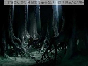 哈利波特禁林魔法觉醒事件全景解析：魔法世界的秘密一览