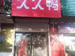 国内精品久久久久久久久鸭下载—国内精品久久久久久久久鸭下载，高品质资源轻松获取