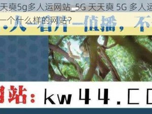 5g天天奭5g多人运网站_5G 天天奭 5G 多人运网站，是一个什么样的网站？