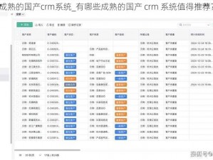 成熟的国产crm系统_有哪些成熟的国产 crm 系统值得推荐？