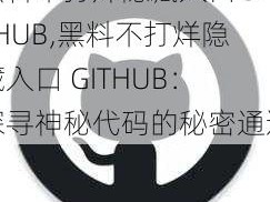 黑料不打烊隐藏入口GITHUB,黑料不打烊隐藏入口 GITHUB：探寻神秘代码的秘密通道