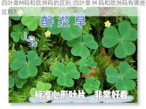 四叶草M码和欧洲码的区别;四叶草 M 码和欧洲码有哪些区别？