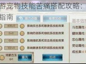 诛仙手游宠物技能苦痛搭配攻略：最佳组合推荐指南