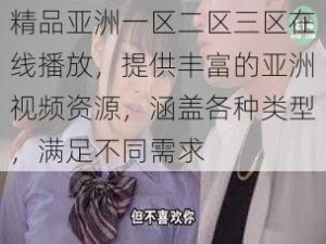 精品亚洲一区二区三区在线播放，提供丰富的亚洲视频资源，涵盖各种类型，满足不同需求