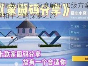 和平精英家园：深度解析10级方案码，引领和平之路探索之旅