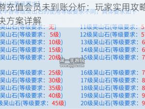 手游充值会员未到账分析：玩家实用攻略及解决方案详解