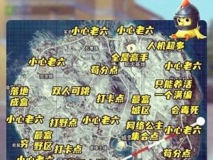 《和平精英攻略：揭秘如何精准打击空投雪人，成为战场上的雪地霸主》