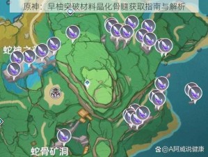 原神：早柚突破材料晶化骨髓获取指南与解析