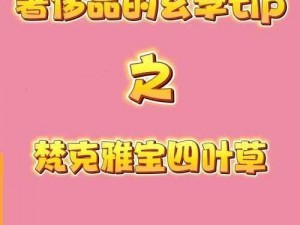 四叶草 M 码与欧洲 888 码异同解析——探究两款产品的奥秘