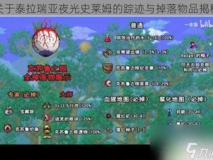 关于泰拉瑞亚夜光史莱姆的踪迹与掉落物品揭秘