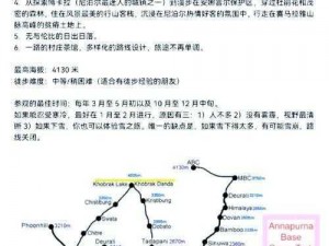 孩子野外探险之旅第三章攻略：第四关难点解析与通过指南