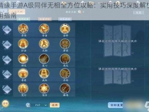 剑侠情缘手游A级同伴无相全方位攻略：实用技巧深度解析与实战应用指南