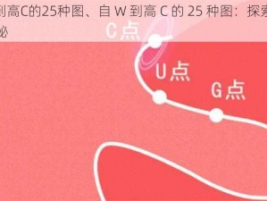 自W到高C的25种图、自 W 到高 C 的 25 种图：探索性爱的奥秘