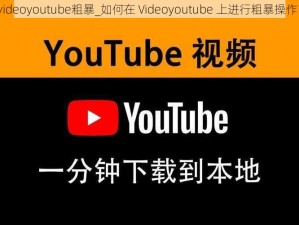 videoyoutube粗暴_如何在 Videoyoutube 上进行粗暴操作？