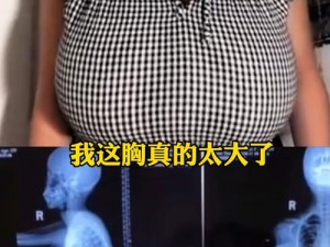 巨大X房乳Xboos—巨大 X 房乳 Xboos 是什么？为什么它如此神秘？