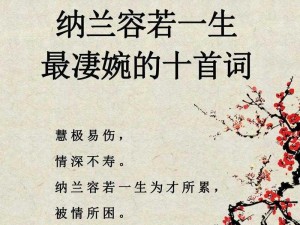 江湖美人纳兰容若：绝世武功与美貌智慧的结合解析