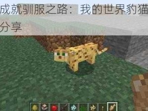 耐心成就驯服之路：我的世界豹猫驯服技巧分享