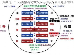 十脉共鸣，109全敏普陀奇经八脉——深度探索其内涵与影响