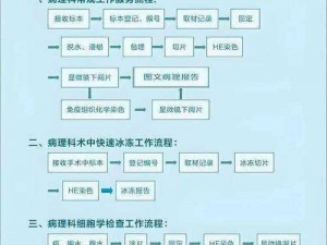 圈地医生技能进阶：实践中的专业成长与医术精进之道