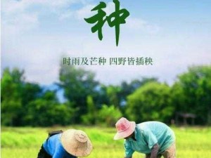 2023芒种时节，收获希望，播种未来——共赏生活的美好瞬间