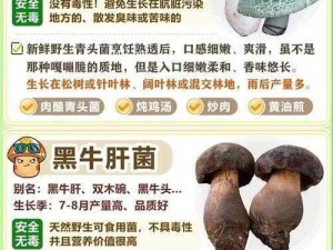 精产国蘑菇品一二三产品区、精产国蘑菇品一二三产品区，各自有什么特点？