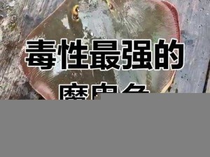 揭秘海洋霸主：魔鬼鱼的属性分值及在全球海域的捕鱼踪迹一览