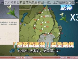 关于原神塞西莉亚花采集分布图一览：全方位解析与指南