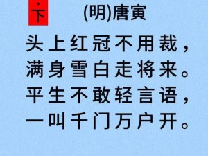 抖音独特魅力，揭示不再画鸡之歌的神秘面纱：探索其背后的故事与音乐之力