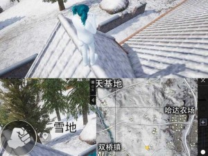 和平精英雪地中心公园攻略详解：掌握核心打法，决胜游戏战场