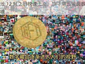 中文在线 12 月 2 日快速上涨，旗下第五境面数字藏品平台上线