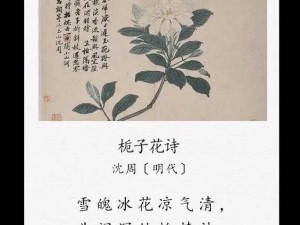 插花弄玉曲径通幽冷卉小说 冷卉小说：插花弄玉曲径通幽